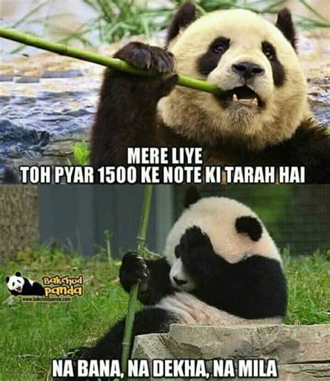 Pin by Tanaya on lol | Panda bear, Memes, Lol