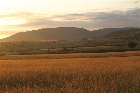 Sunrise on the Maasai Mara, Kenya | Pics4Learning