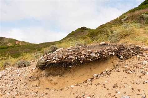 Aboriginal Shell Middens | Aboriginal Heritage Tasmania