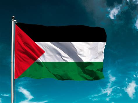 Bandera De Palestina