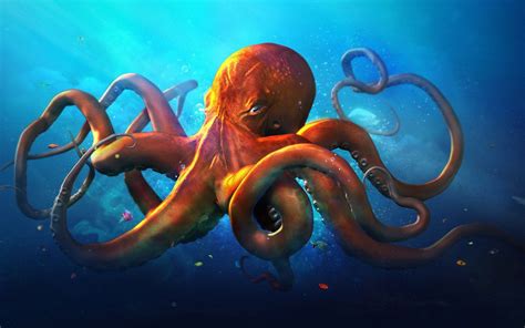 1920x1200 octopus cool wallpaper for desktop | Octopus wallpaper ...