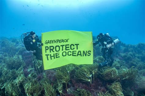 Protect the Oceans - Greenpeace Africa