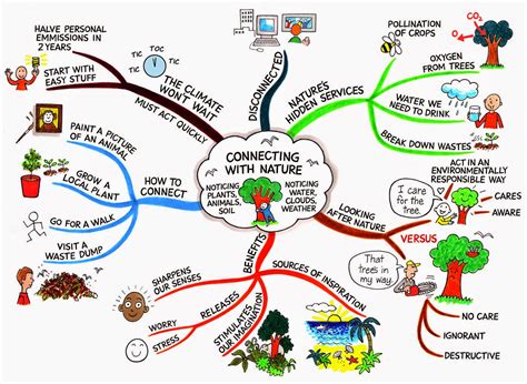 Top Trending Mapa Mental De Cuidado Del Medio Ambiente Png Campor ...