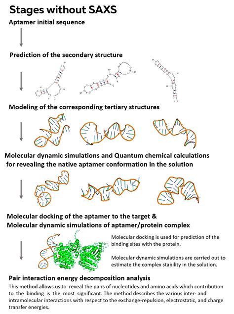 Aptamer Design and 3D Structure