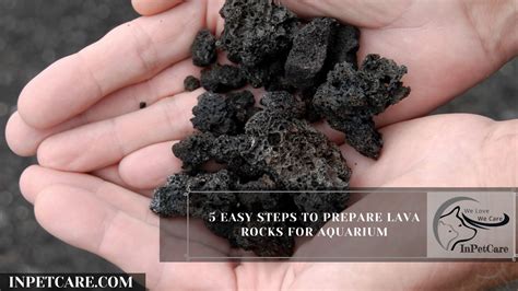 5 Easy Steps To Prepare Lava Rocks For Aquarium