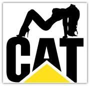 Pin on cat