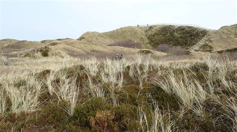 Visit East Frisian Islands: Best of East Frisian Islands Tourism ...