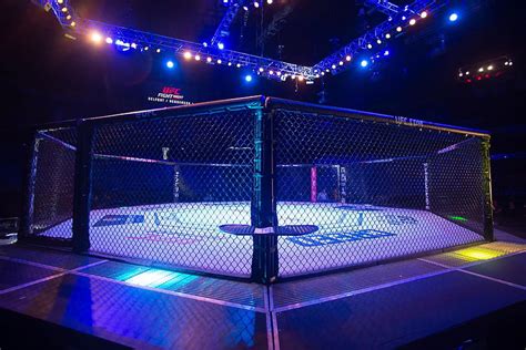 Octagon ,sport venue,light,net,lighting,stage, ufc cage HD wallpaper ...