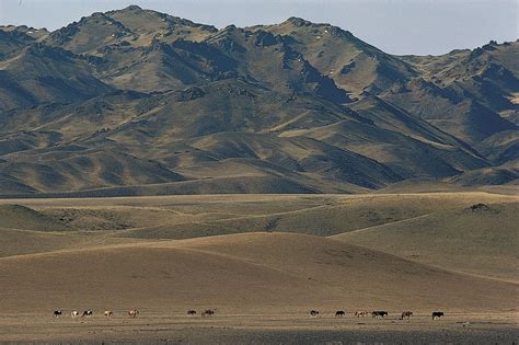 Altai Mountains | Russia, Mongolia, Kazakhstan | Britannica