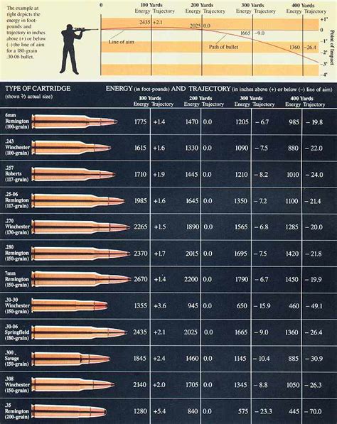 Vintage Outdoors: Comparison Of Popular Hunting Rifle Ammo Calibers