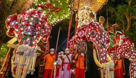 Kandy Esala Perahera 2023 : Dates announced - Newswire