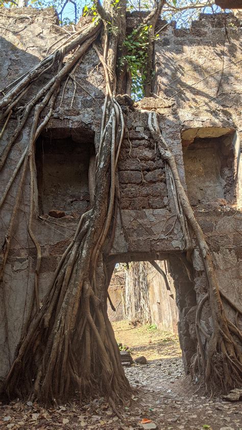 Abandoned fort in Maharashtra, India [OC] : r/AbandonedPorn