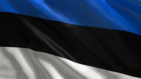 ESA - Estonia flag