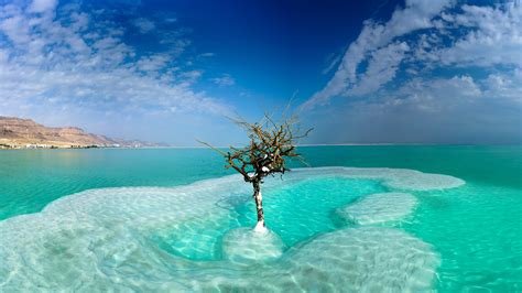 Wallpaper : Dead Sea, Israel, nature, trees 5120x2880 - Pc7 - 1922811 ...