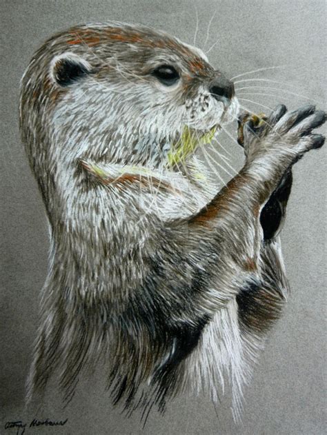 River Otter by ChalkyCanvas on DeviantArt | Otter art, Animal ...