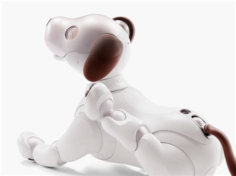 Sony aibo - IMBOLDN