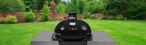 Large Charcoal Kamado Grill | Primo Ceramic Grills