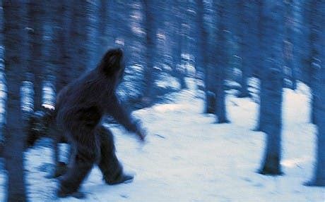 Scientists genetically screen alleged Yeti samples, find they're from ...