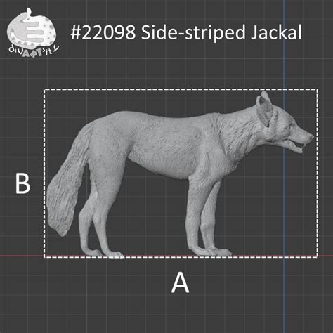 22099 Side-striped Jackal