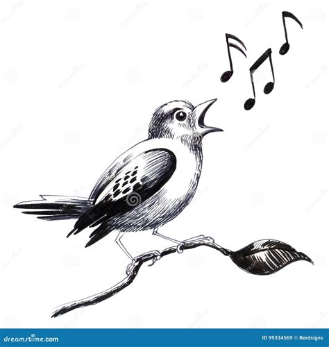 Singing Bird Drawing