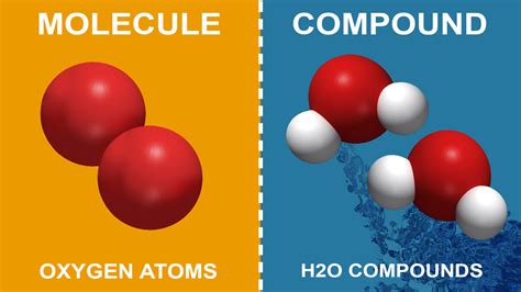 Difference Between a Molecule and Compound Made Simple | YourDictionary