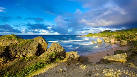 Top Hotels in Bathsheba from $125 (FREE cancellation on select hotels ...