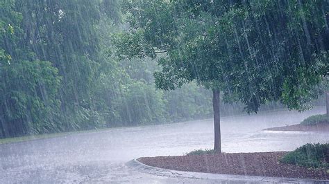 Flash flood watches and strong gusty thunderstorms today