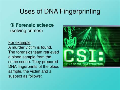 PPT - DNA Fingerprinting PowerPoint Presentation, free download - ID ...