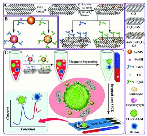 Schematic representation of the synthesis of (A) the aptamer-carrying ...