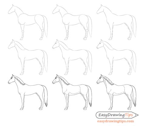 How to Draw a Horse From the Side View Tutorial - EasyDrawingTips