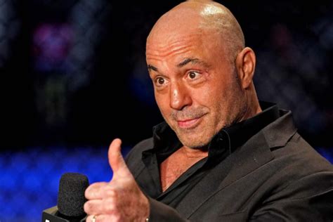 UFC Commentator Joe Rogan Names One Must-See Fight On UFC 299 Card ...