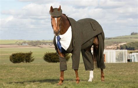 Cheltenham festival: Harris Tweed makes suit for horse - Sports Illustrated