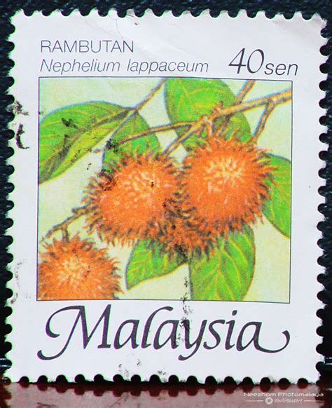 Fruits of Malaysia Definitives Stamps | Stamps Gallery