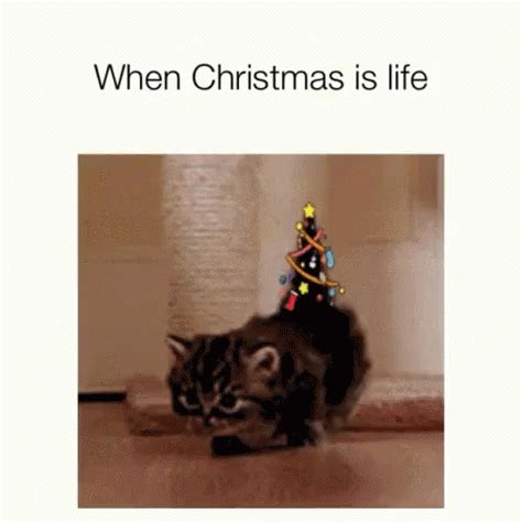 When Christmas Is Life Kitten GIF - WhenChristmasIsLife Kitten ...