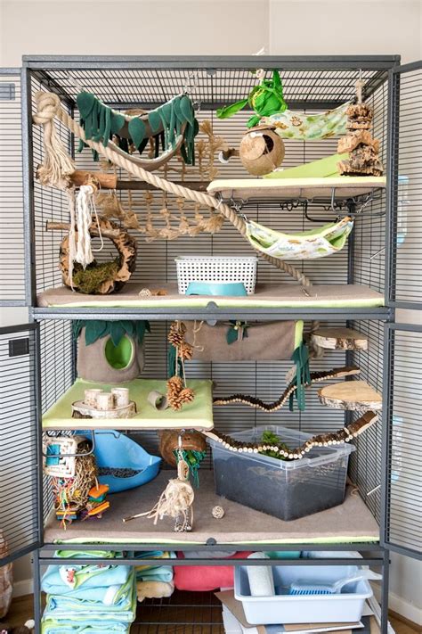 Critter Nation Jungle Theme | Rat cage accessories, Pet rat cages, Rat cage