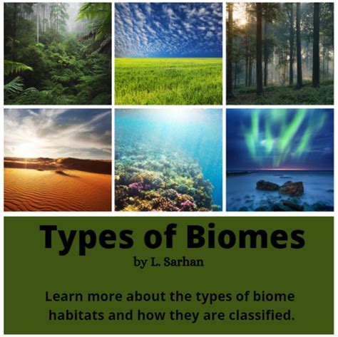 Biome Examples