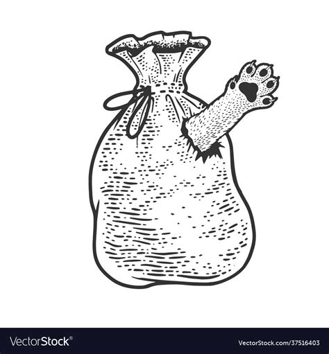 Cat in bag sketch Royalty Free Vector Image - VectorStock