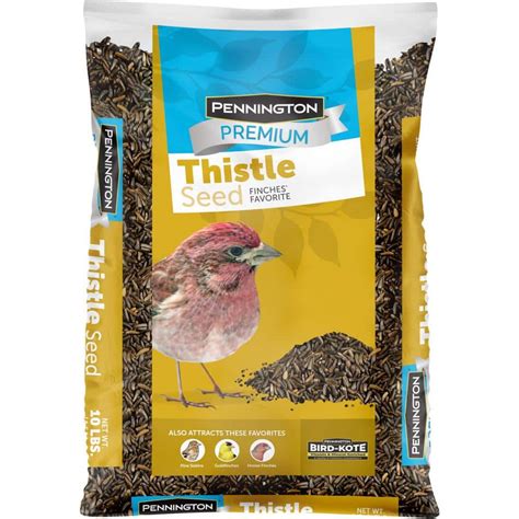 Pennington Premium 10 lb. Thistle Nyjer Bird Seed Food for Finches and ...