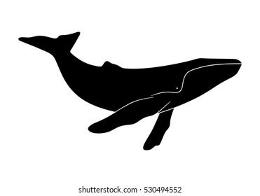 30,670 Whale Silhouette Images, Stock Photos, 3D objects, & Vectors ...