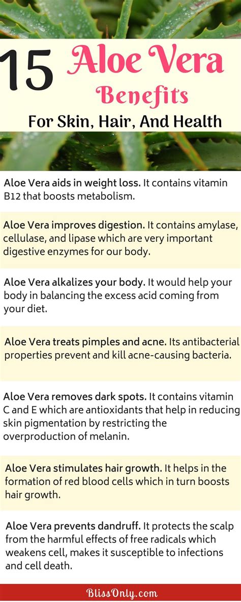 15 Aloe Vera Benefits For Skin, Hair And Health - BlissOnly | Aloe vera ...