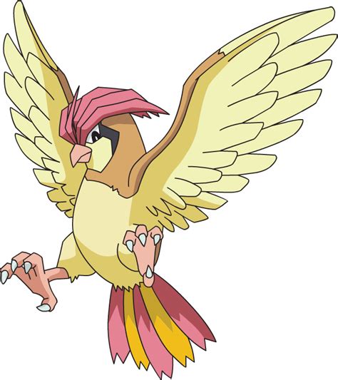 Pidgeotto | Sonic Pokémon Wiki | Fandom powered by Wikia