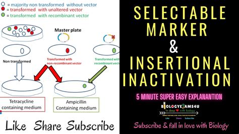 Selectable Marker: Definition || How Selectable Marker helps in ...