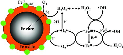 Schematic Illustration of the Enhanced Fenton Oxidation by Fe@Fe 2 O 3 ...