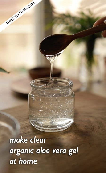 VIDEO - How to make aloe vera gel at home - The Little Shine