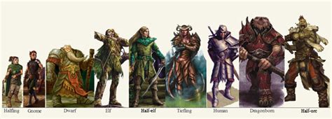 Creating the Perfect Dungeons and Dragons Character Part 1: Choosing ...