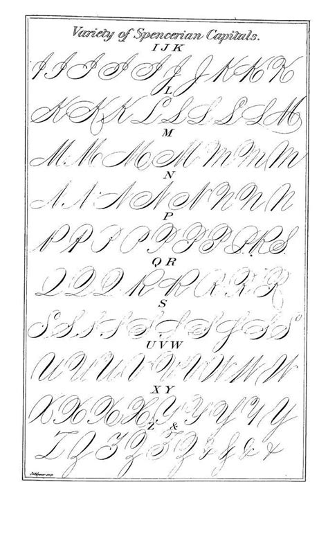 Spencerian Capitals. | Copperplate calligraphy, Calligraphy letters ...