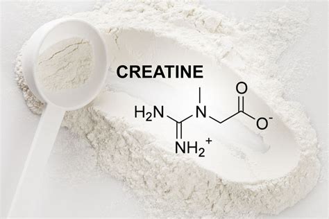 All about Creatine Monohydrate - Sharique Skincare