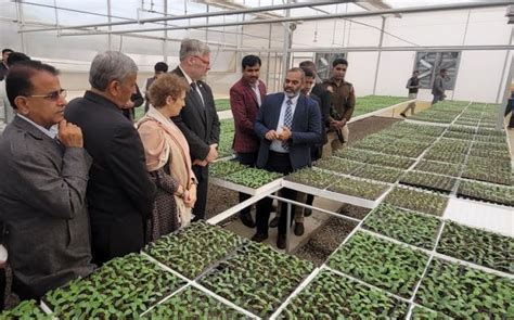 Agricultural cooperation: India, Israel inaugurate 30th Centre of ...