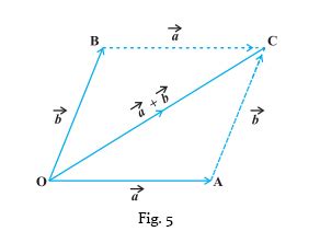 Vector Addition: Parallelogram and Triangle Laws, Videos and Examples