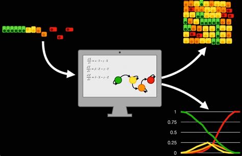 Computational models: A new tool for cancer research - Advanced Science ...